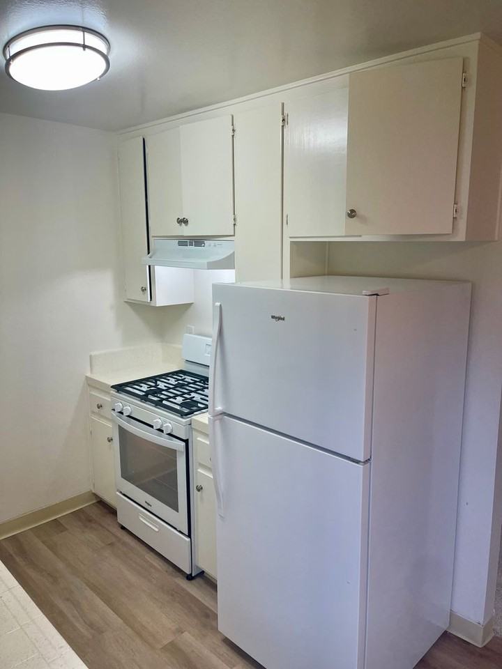 Garden View - Photo 3 of 10