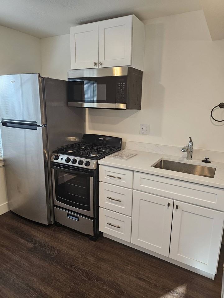 725 N 150 E Downstairs - 1 #1 - Photo 6 of 8