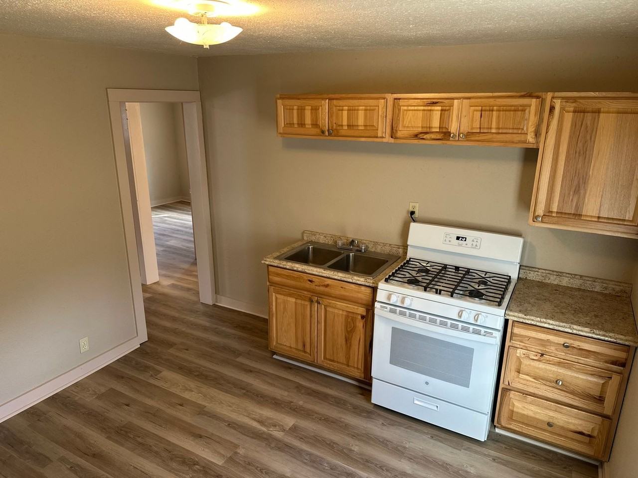 1318 Crutcher St - Photo 4 of 17