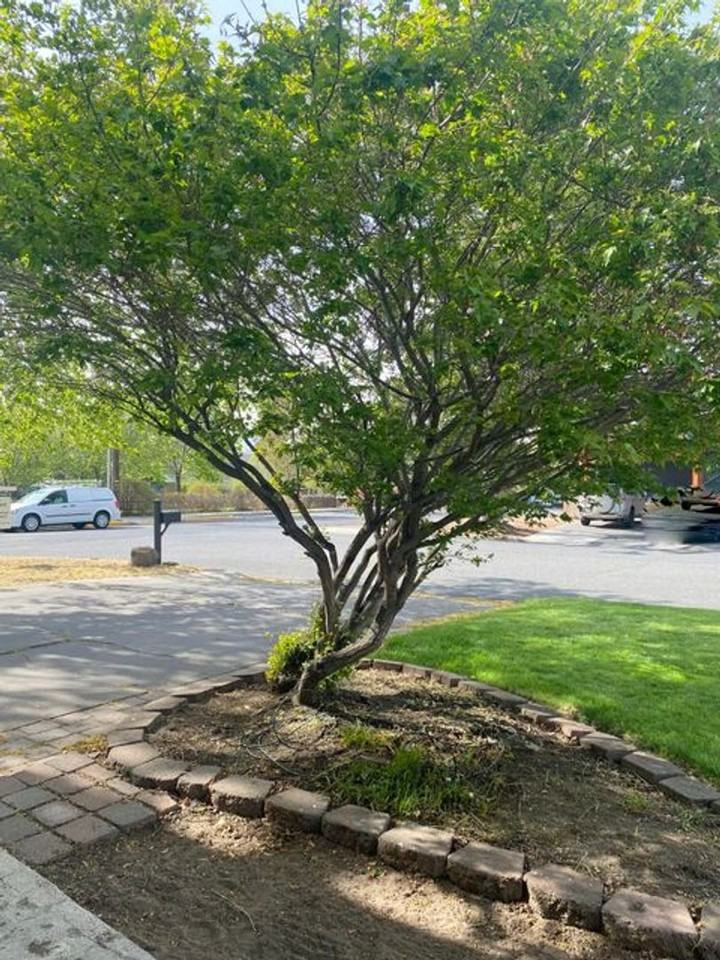 611 Ne Innes Ln #A - Photo 2 of 13