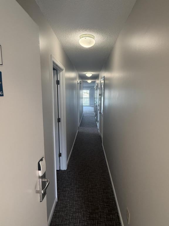 204 Double Eagle Dr ## F1 - Photo 2 of 4