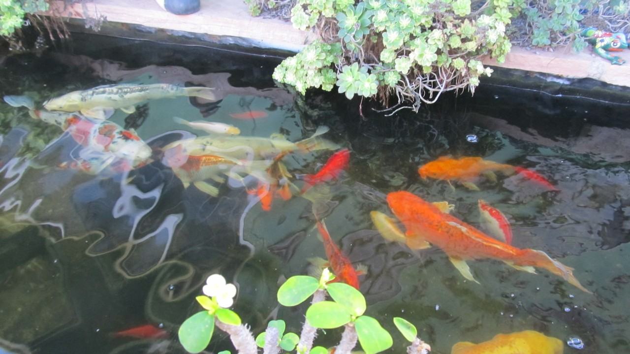 1003B Elm Ave - Photo 2 of 10