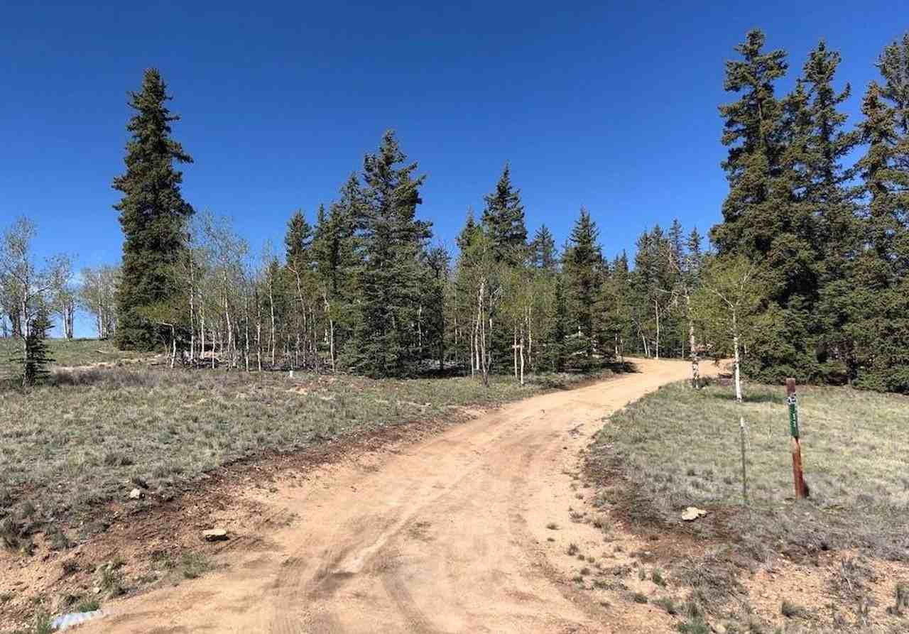 53 Warpath Rd - Photo 4 of 5