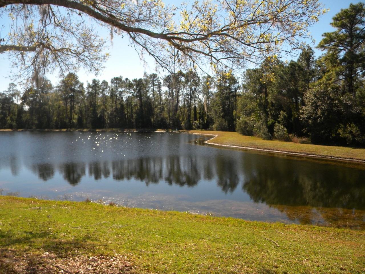 18221 Corner Meadow Cir - Photo 3 of 41