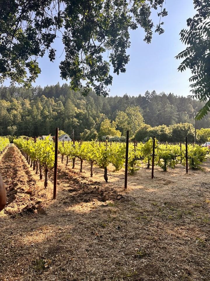 102 Foothill Blvd - Photo 4 of 7