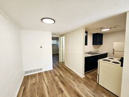 featured image of 1509 Oxford Pl #28