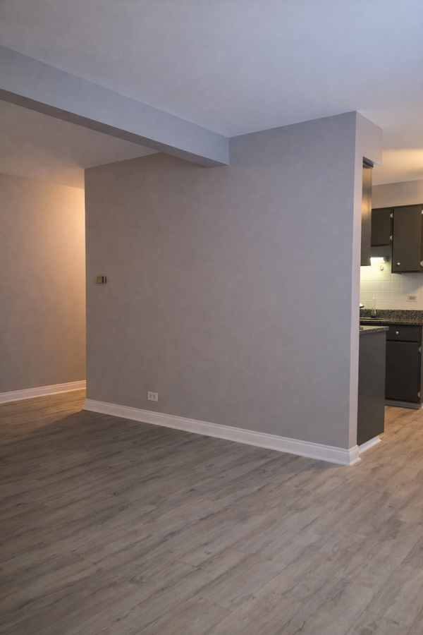 10036 S Pulaski Rd #309 - Photo 4 of 6