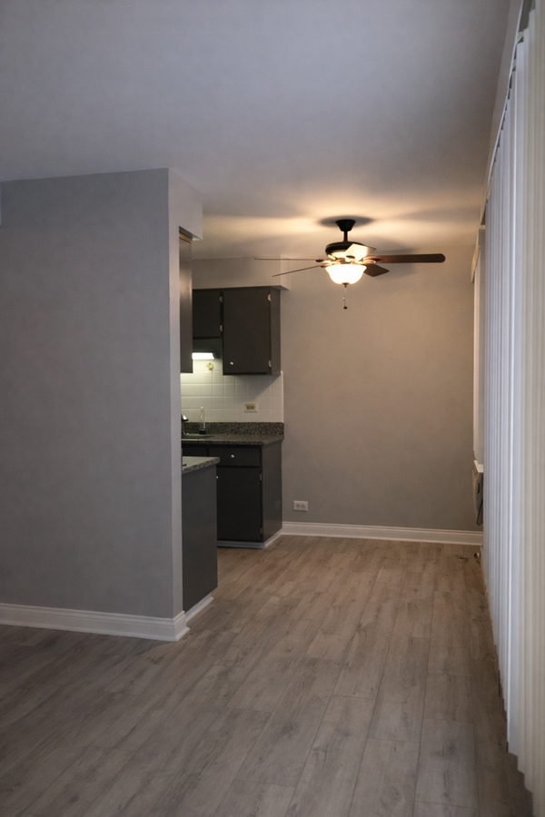 10036 S Pulaski Rd #309 - Photo 5 of 6