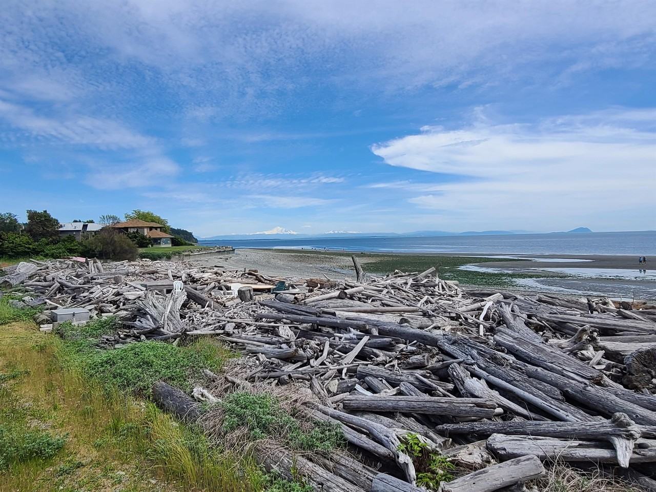 1728 Edwards Dr #12 - Photo 5 of 31