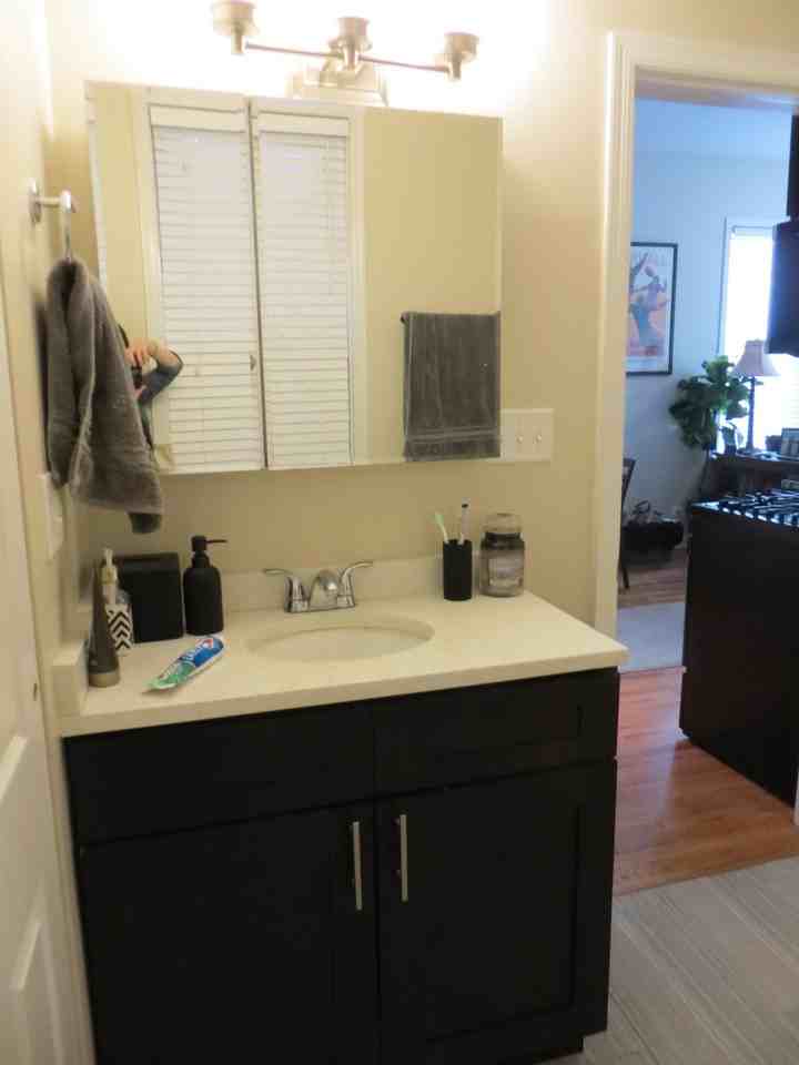 1431 W Belmont Ave #1R - Photo 7 of 8