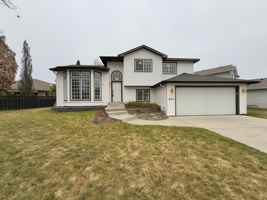 featured image of Terra Vis