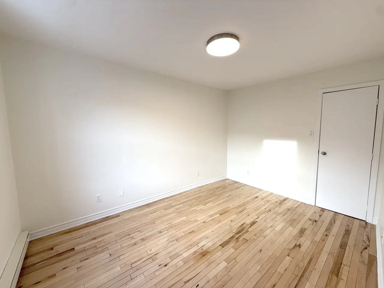 4557 Avenue Papineau - Photo 2 of 11