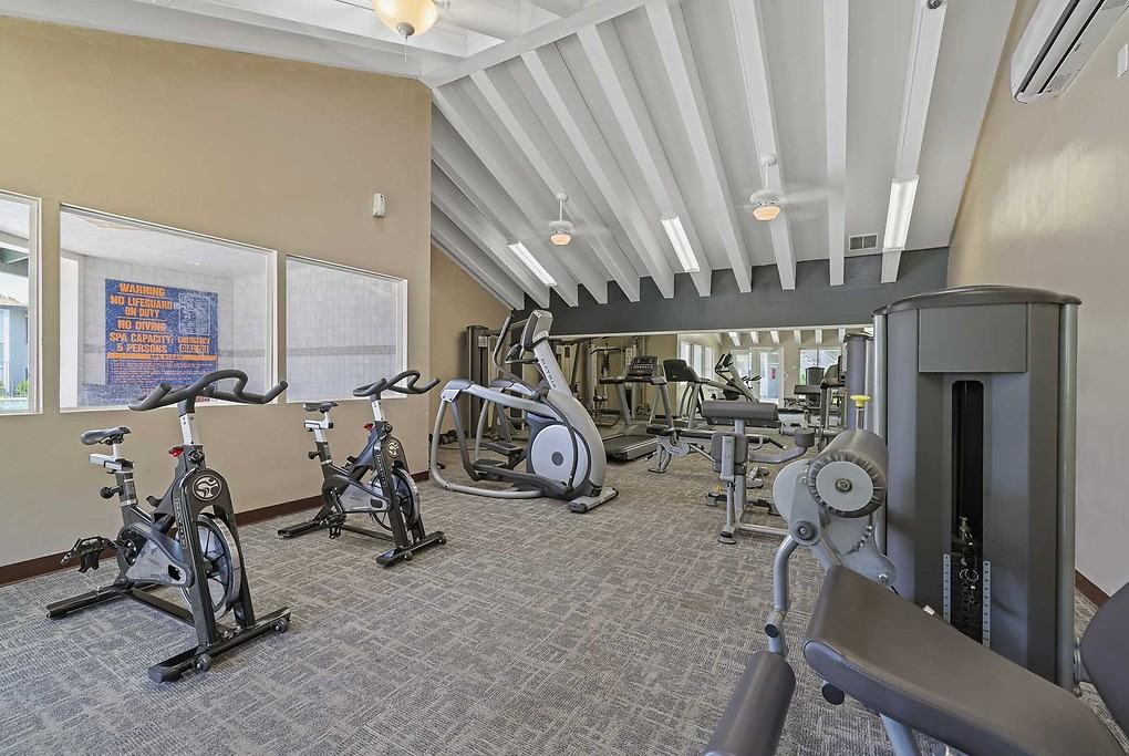 Shadow Point - Photo 4 of 47