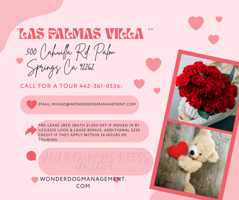 featured image of 500 N Cahuilla Rd