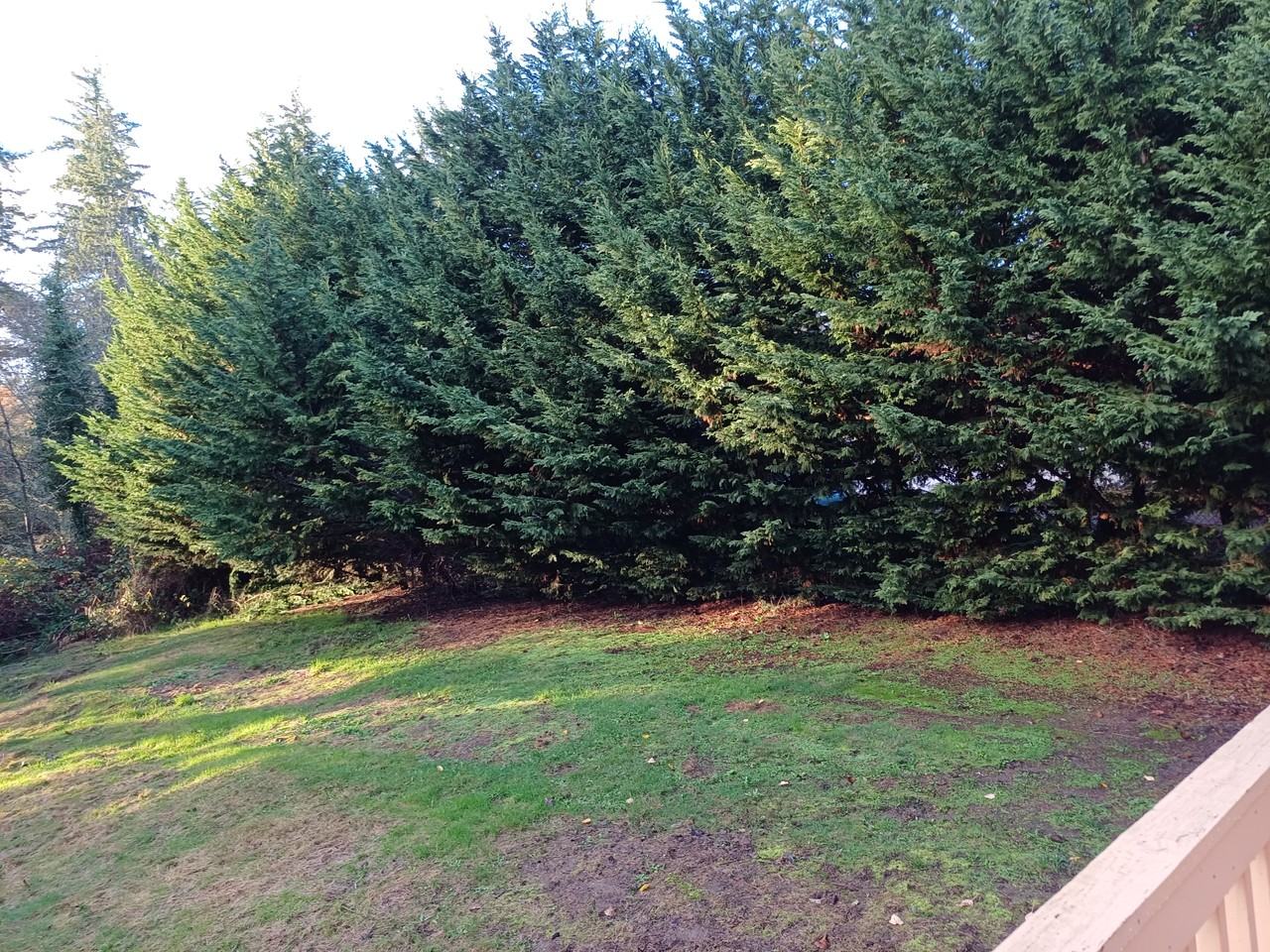 38245 49th Ave S #NA - Photo 5 of 14