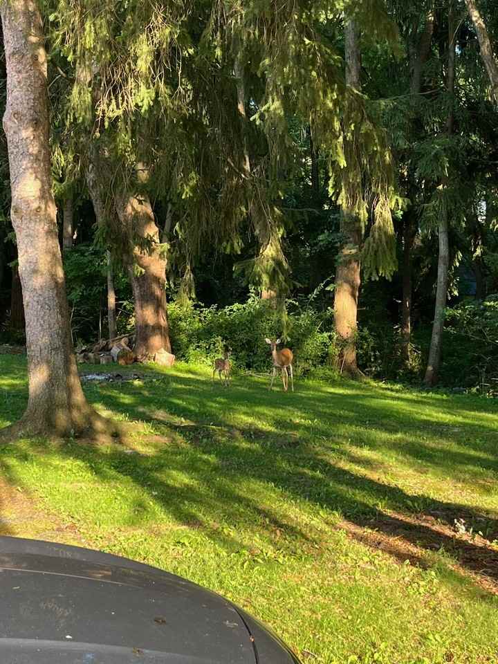 Eastlawn Ave #2450 - Photo 4 of 15