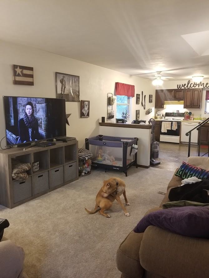 2050 Rainbow Dr #2050 - Photo 2 of 19