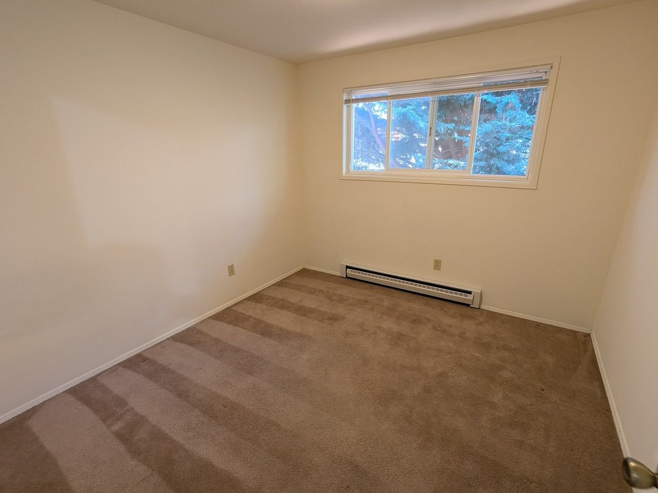 240 5th Avenue - Photo 3 of 15