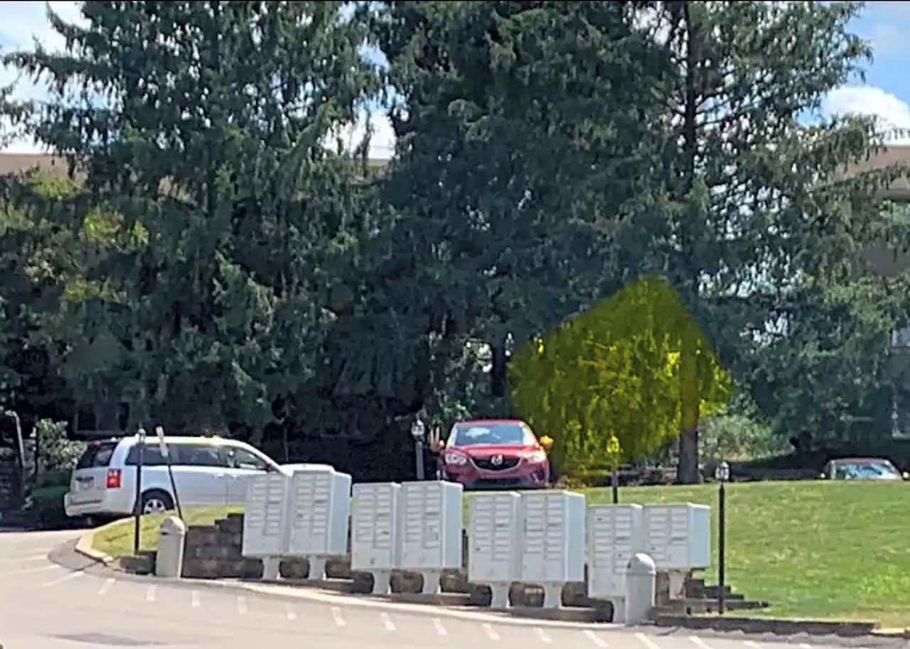 JMD Apartments - Walden Woods - Photo 5 of 5