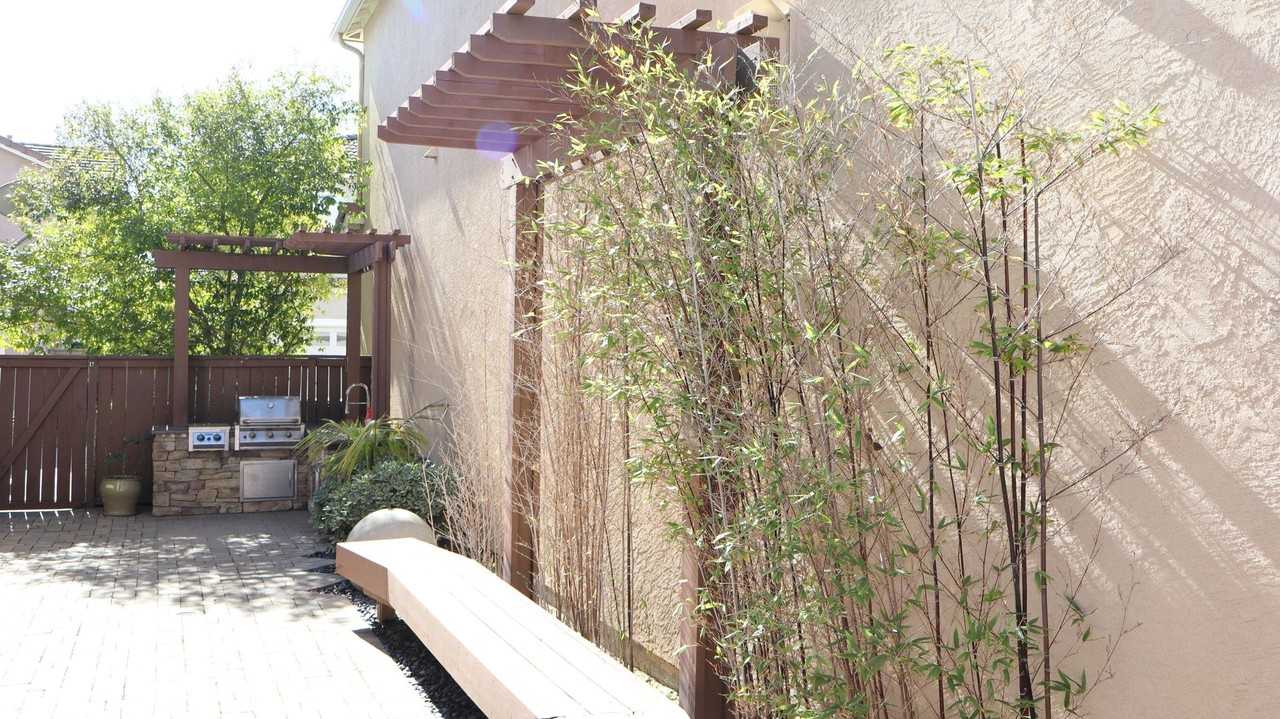 1820 San Sebastian Ave - Photo 3 of 37
