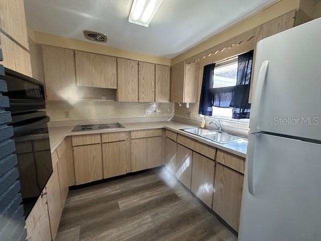 803 Tangerine St - Photo 2 of 14