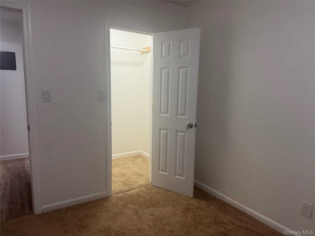 134-15 160th Street unit: Basement #BS - Photo 6 of 16