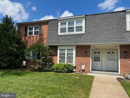 featured image of 14-U Rose Rita Ter