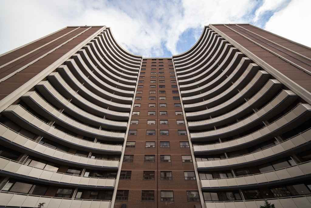 Apartment for rent at 1B Richview Road - Photo 7 of 14