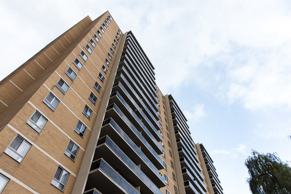 Apartment for rent at 50 Panorama Court - Photo 6 of 8