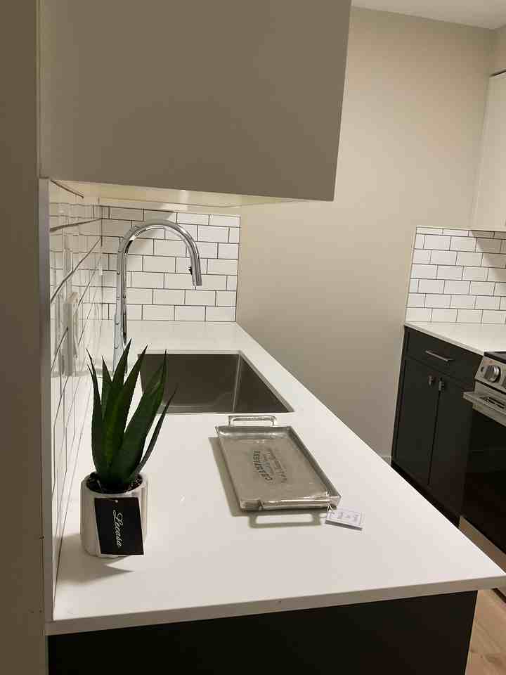 Rent On Oak - Photo 6 of 23