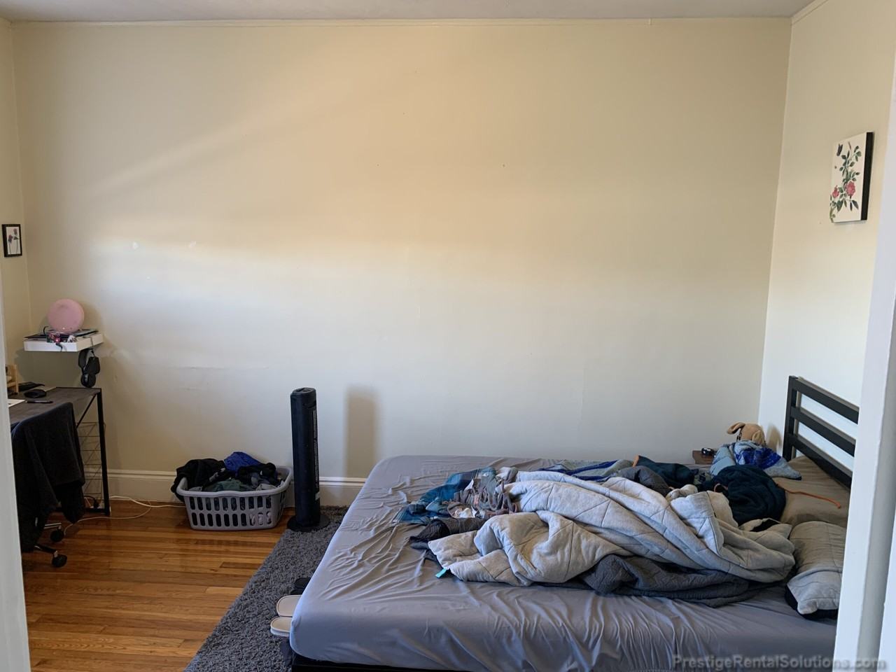 Kelton St #16 - Photo 6 of 11