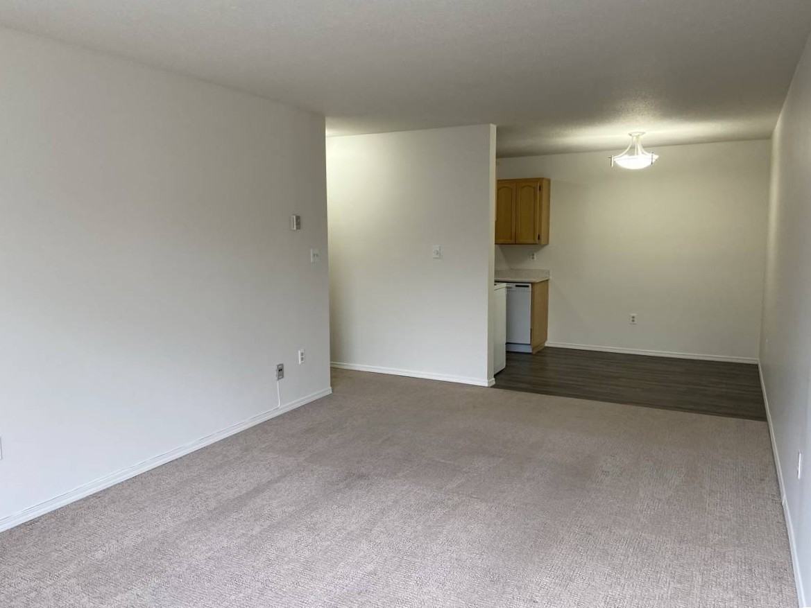 33388 Mayfair Avenue #111 - Photo 3 of 10