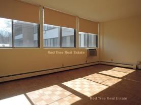 1455 Commonwealth Ave #218 - Photo 1 of 1