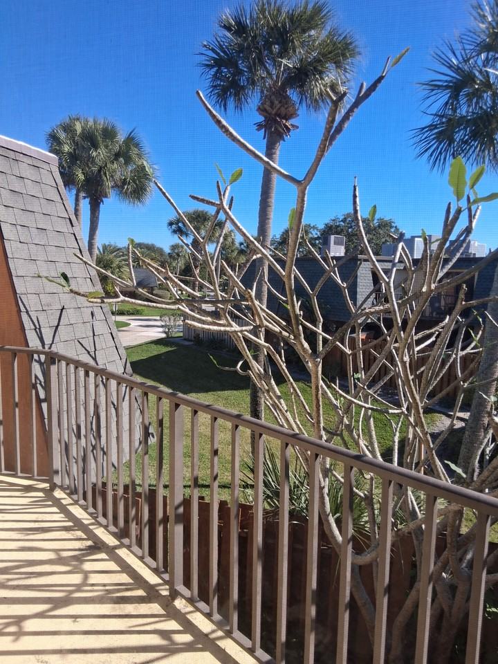 106 Cedar Dunes Dr #106 - Photo 2 of 25