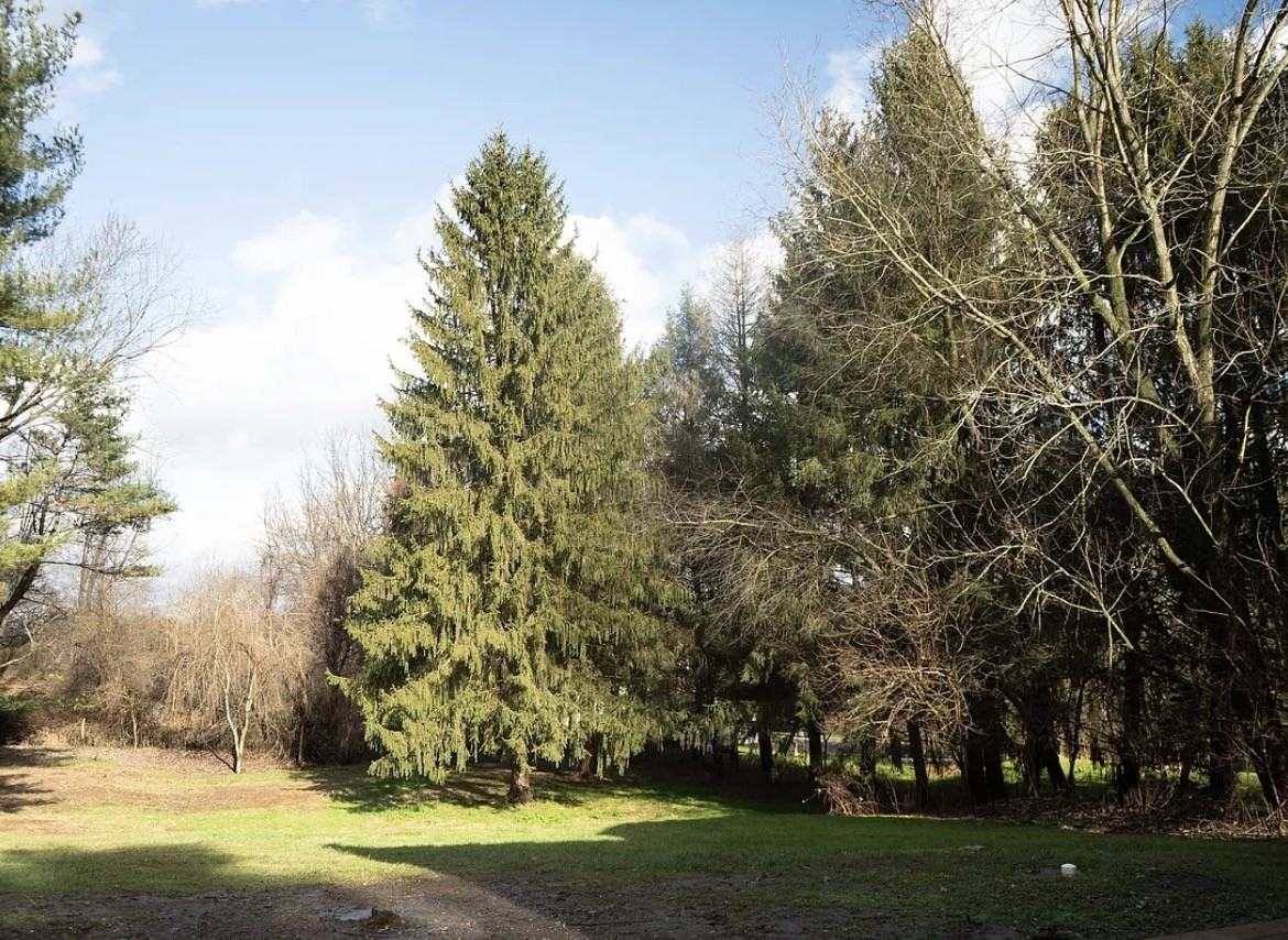 197 Mercer Mill Rd #NA - Photo 6 of 14