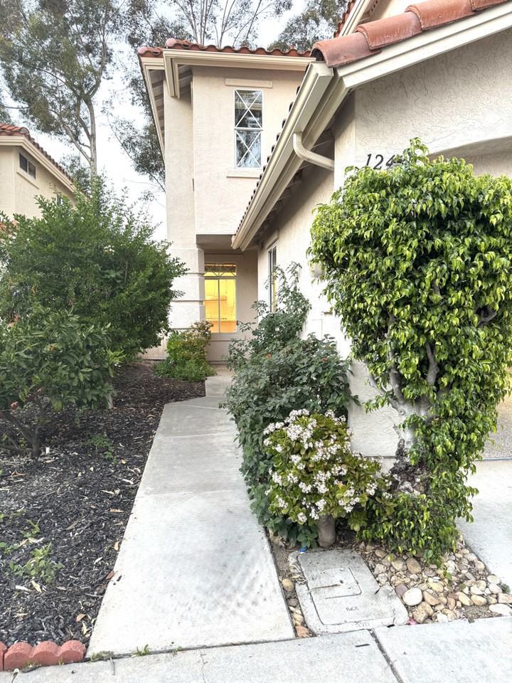 12432 Caminito Brioso #NA - Photo 2 of 38