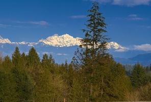 featured image of 10103 16th Pl Se #1