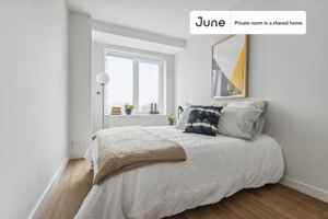 featured image of Madison Ave #1