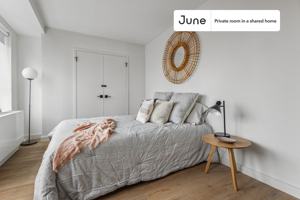 featured image of Madison Ave #5