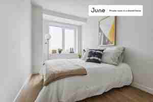 featured image of Madison Ave #1