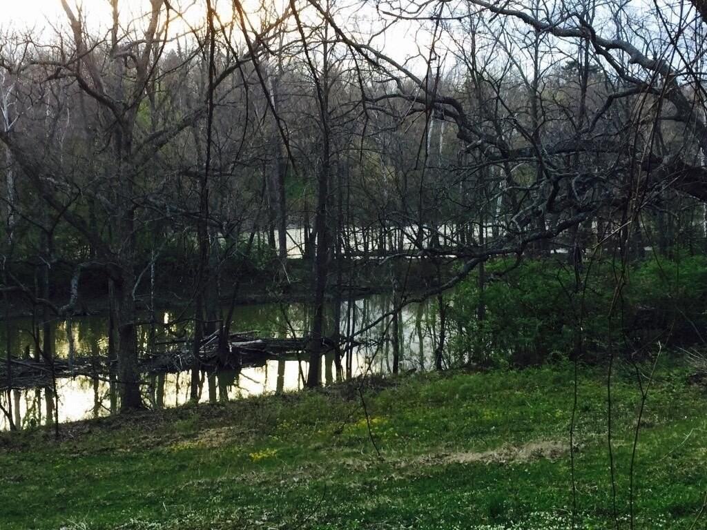 7049 Riverside Dr - Photo 3 of 15