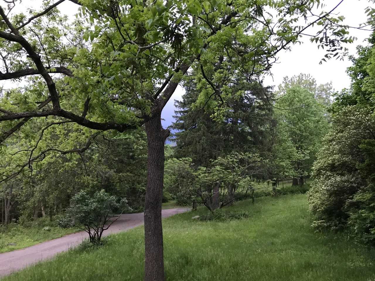 7049 Riverside Dr - Photo 4 of 15