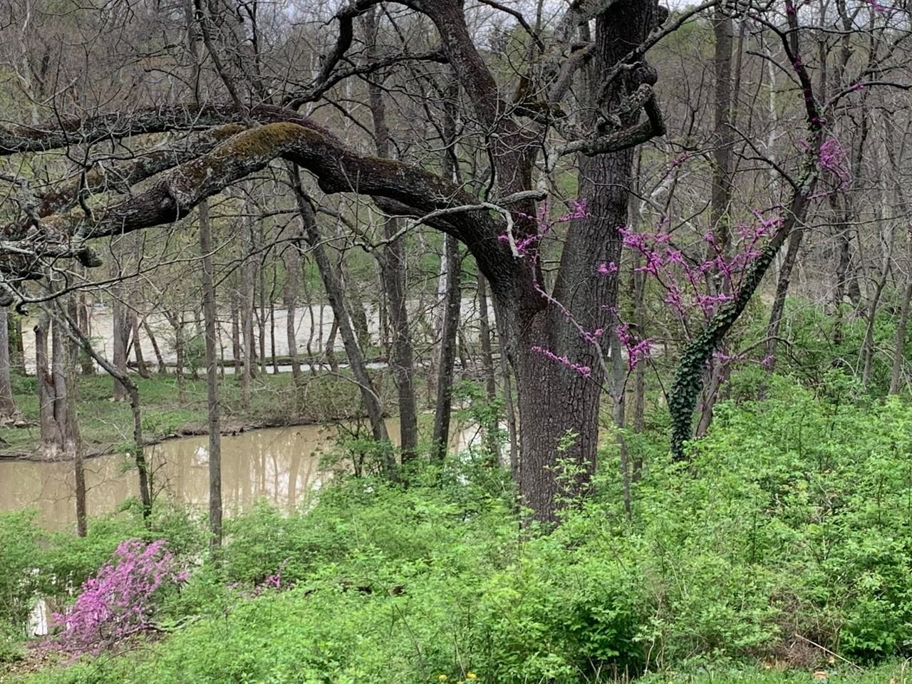 7049 Riverside Dr - Photo 5 of 15