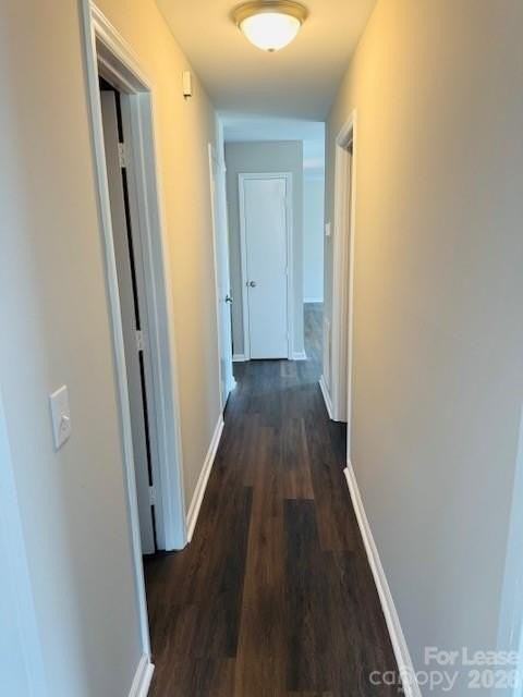 6137 Meadow Rose Ln - Photo 6 of 12