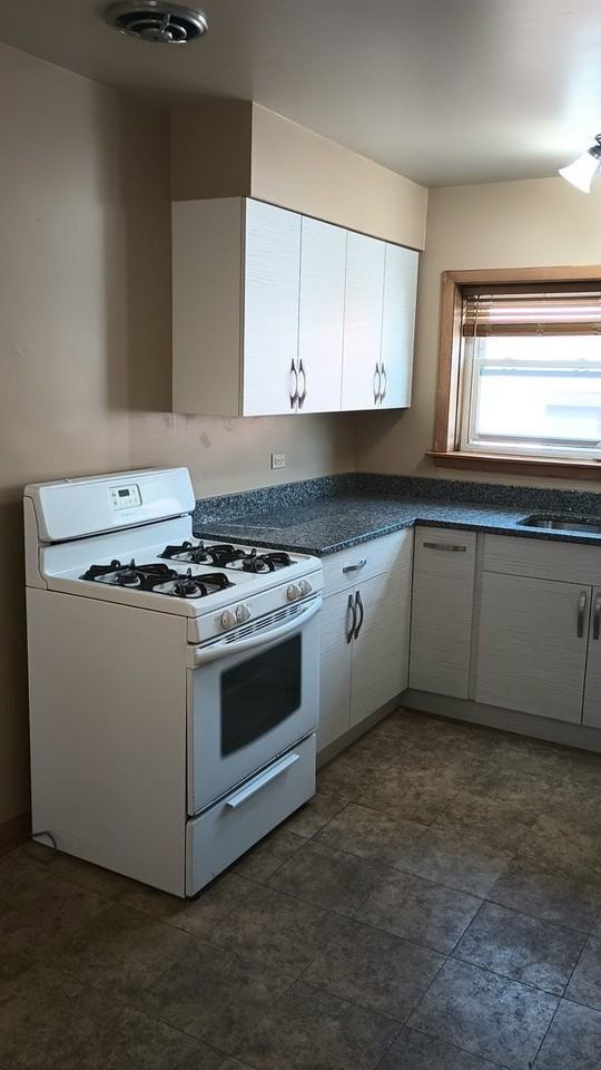 4950 Greenwood St Apt 3e #3E - Photo 4 of 19