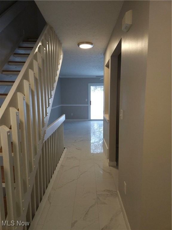 1258 Meadow Run - Photo 3 of 27