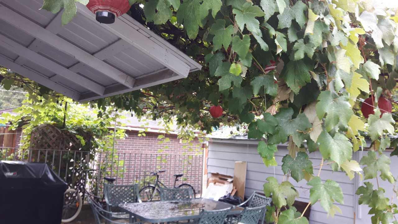 Lansdowne Ave & Bloor St W #1 - Photo 6 of 7