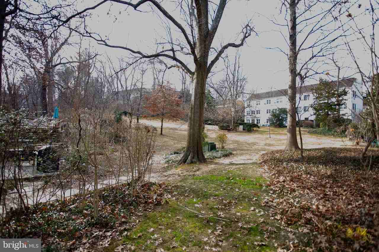 1700 Preston Rd - Photo 3 of 22