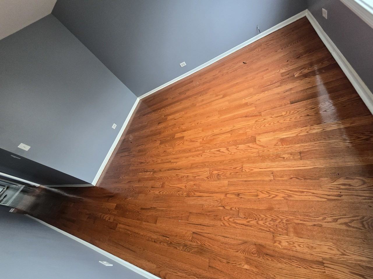 1311 S Christiana Ave #3FL - Photo 6 of 16