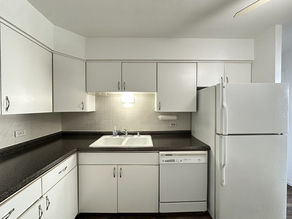 6325 N Sheridan Rd #2003 - Photo 4 of 21